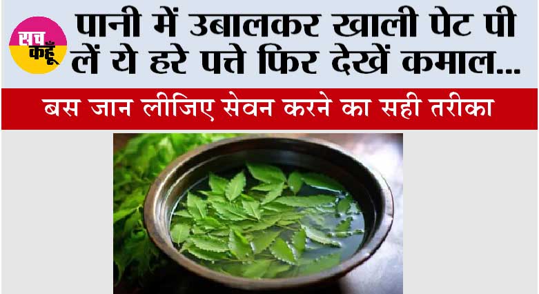 Neem Leaf Water Benefits: पानी में उबालकर खाली पेट पी लें ये हरे पत्ते फिर देखें कमाल... 