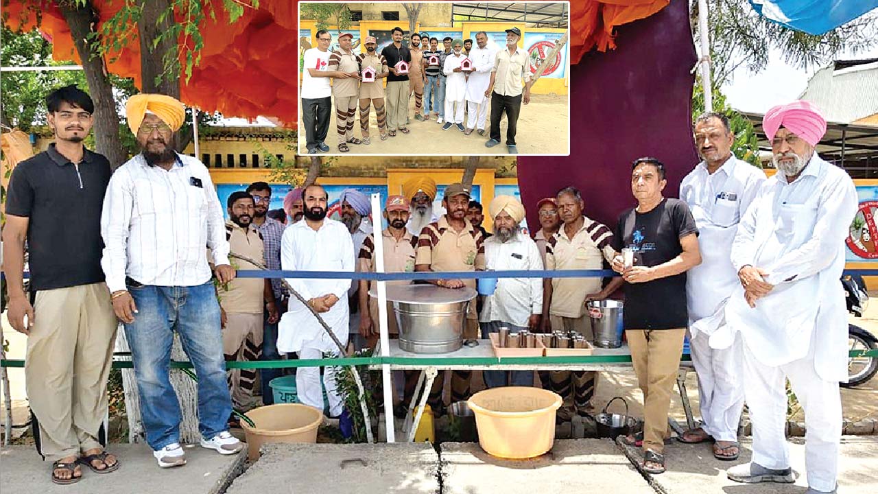 डेरा श्रद्धालुओं ने लगाई ठंडे पानी की छबील, पक्षियों के लिए पेड़ों पर लगाए लकड़ी के घर