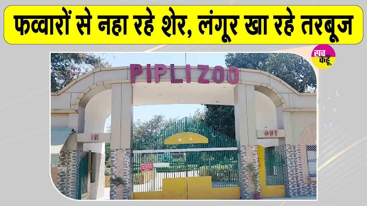 यहां फव्वारों से नहा रहे शेर, लंगूर खा रहे तरबूज-खीरा लेकिन...