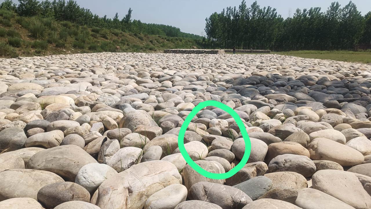 बाढ़ राहत कार्यों में अनियमितताओं के आरोप, स्टेकों के बीच मिट्टी भरने पर उठे सवाल