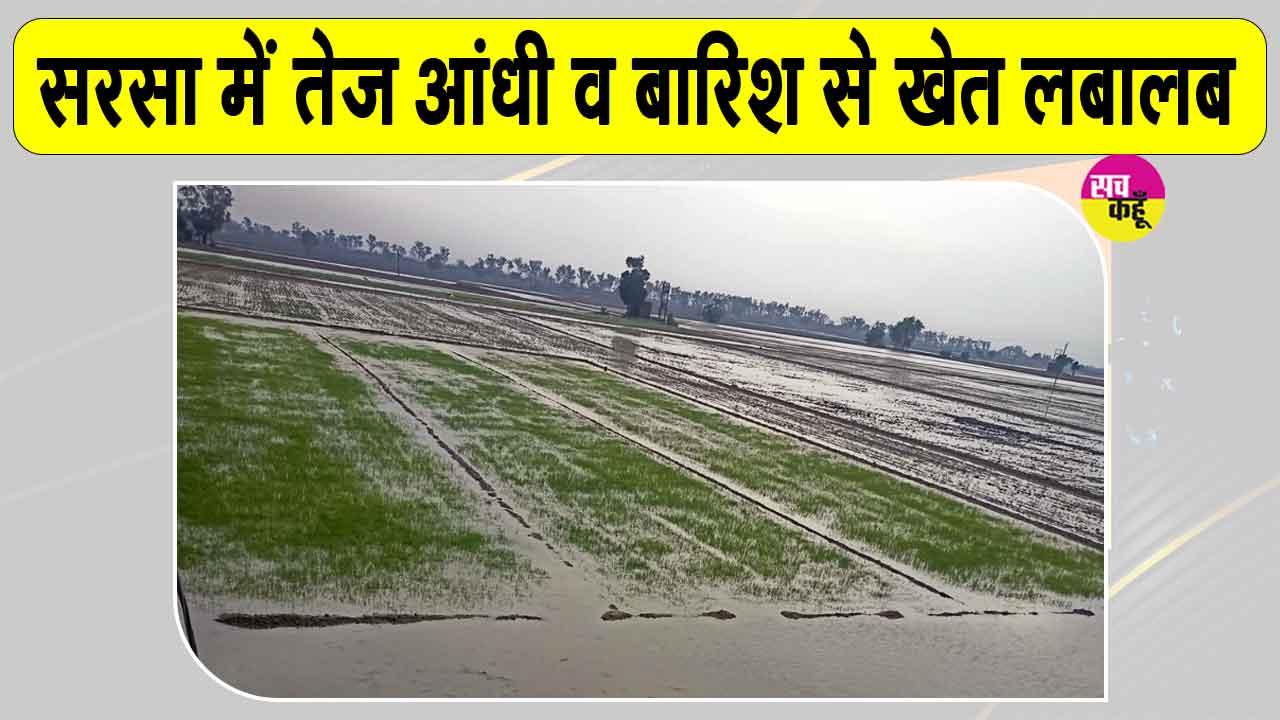 Sirsa Weather: सरसा में तेज आंधी-बारिश, तपते शहर को मिली ठंडक, पेड़ व बिजली के खंभे गिरे