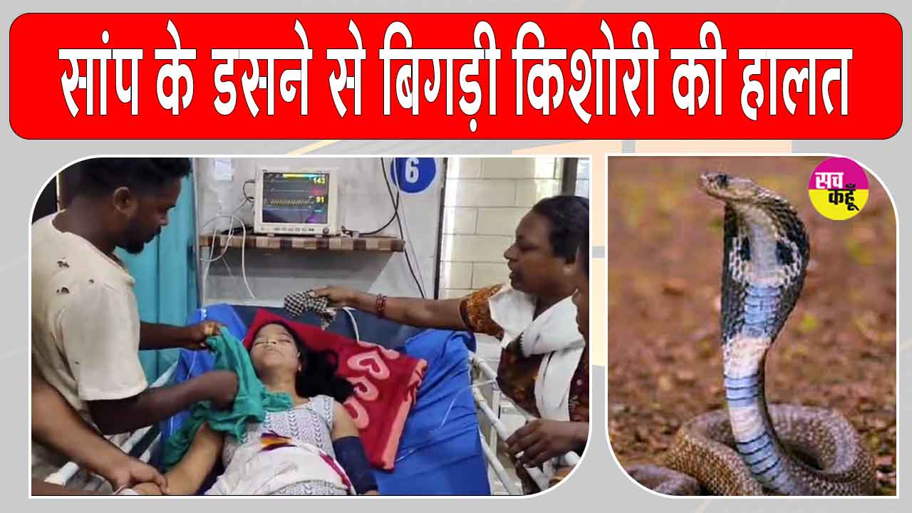 Snake News: सो रही 14 वर्षीय किशोरी को जहरीले सांप ने डसा, अस्पताल में भर्ती, हालत गंभीर