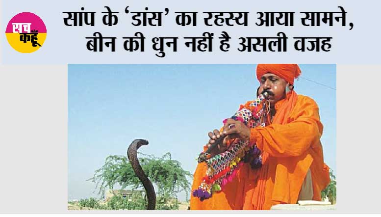 Snake Internal Ear: क्या सच में बीन की धुन पर नाचता है सांप? जानिए इसके पीछे का वैज्ञानिक सच