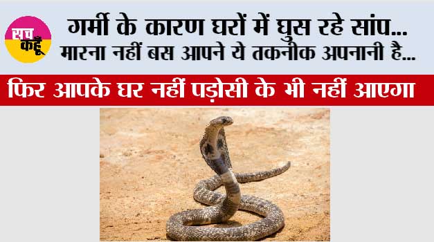 Snake Safety Tips: गर्मी के कारण सांप घर में आ रहे है ...मारना नहीं बस आपने ये तकनीक अपनानी है...फिर आपके घर नहीं पड़ोसी के भी नहीं आएगा
