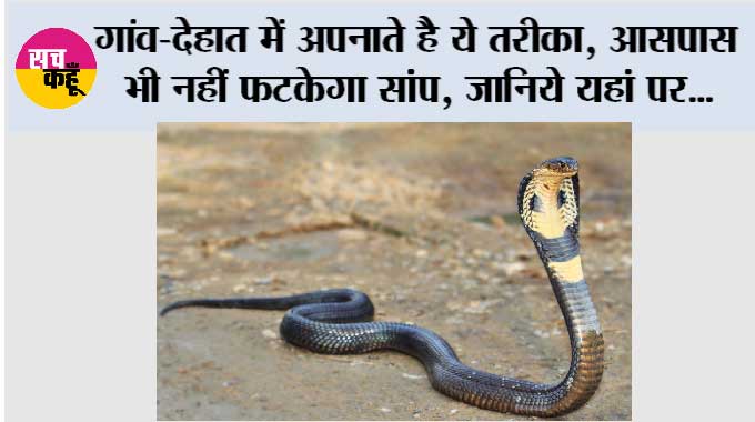 Snake: गांव-देहात में अपनाते है ये तरीका, आसपास भी नहीं फटकेगा सांप, जानिये यहां पर