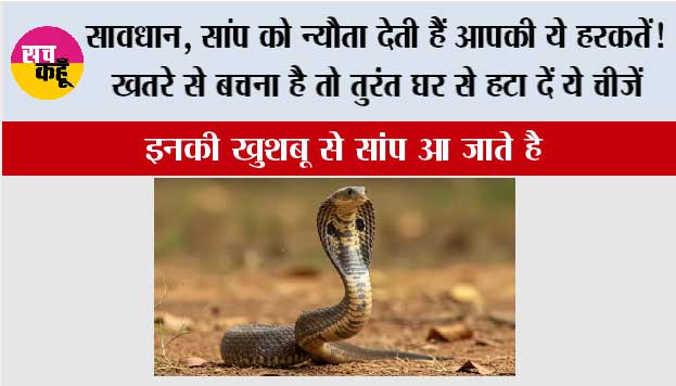 Snakes News: सावधान, सांप को न्यौता देती हैं आपकी ये हरकतें! खतरे से बचना है तो तुरंत घर से हटा दें ये चीजें