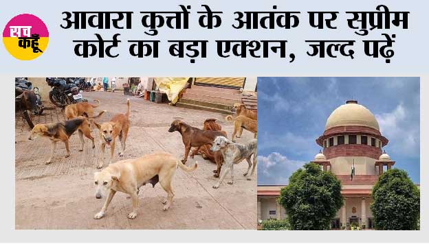 Supreme Court News: आवारा कुत्तों के आतंक पर सुप्रीम कोर्ट का बड़ा एक्शन, जल्द पढ़ें