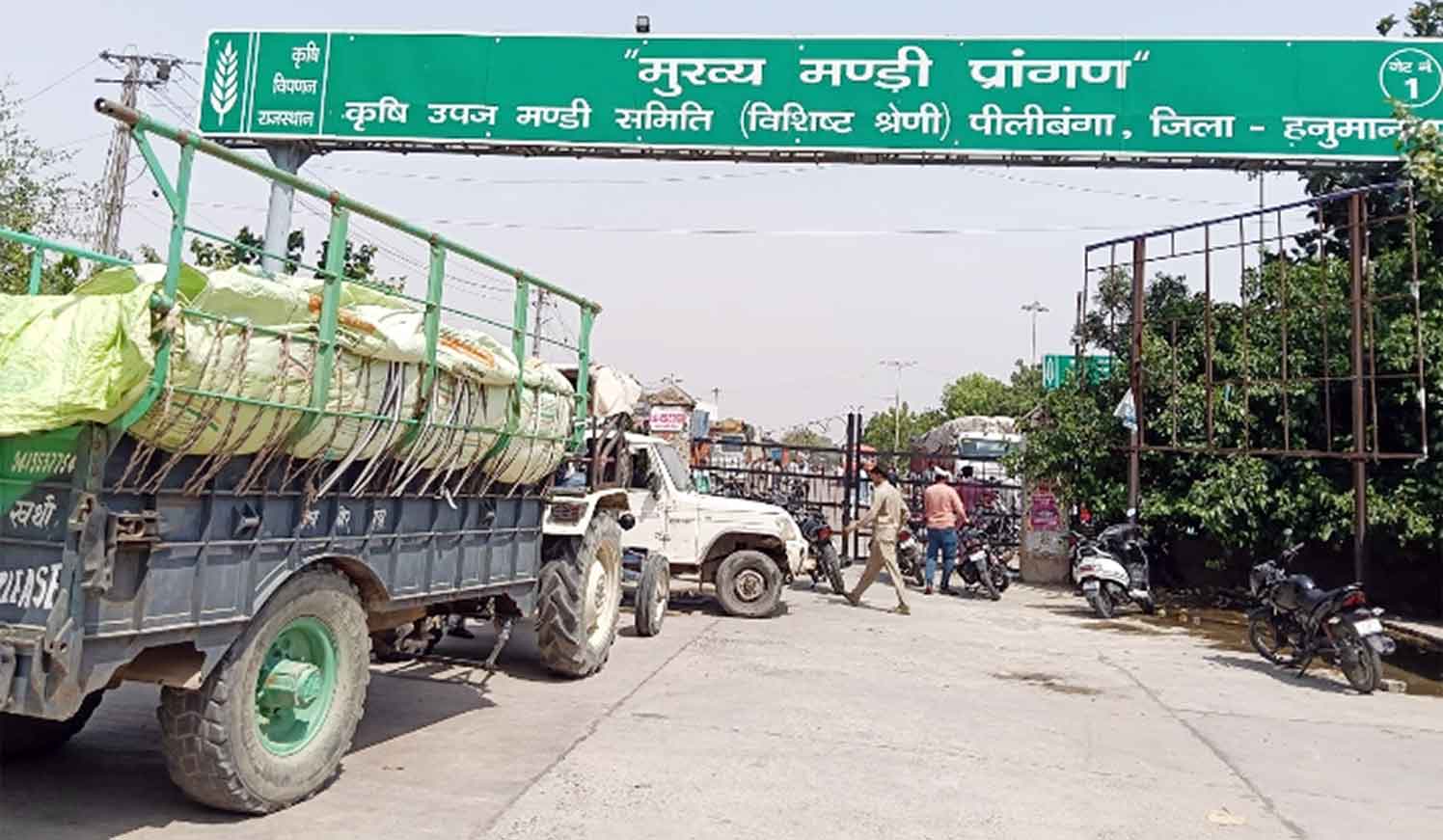 Traders Protest: बारदाने की कमी को लेकर पीलीबंगा धानमंडी बंद, व्यापारियों ने दिया धरना
