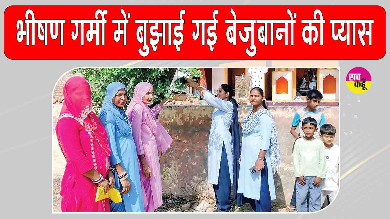 बेजुबानों के लिए सेवादारों के इस सराहनीय प्रयास ने छू लिया सबका दिल