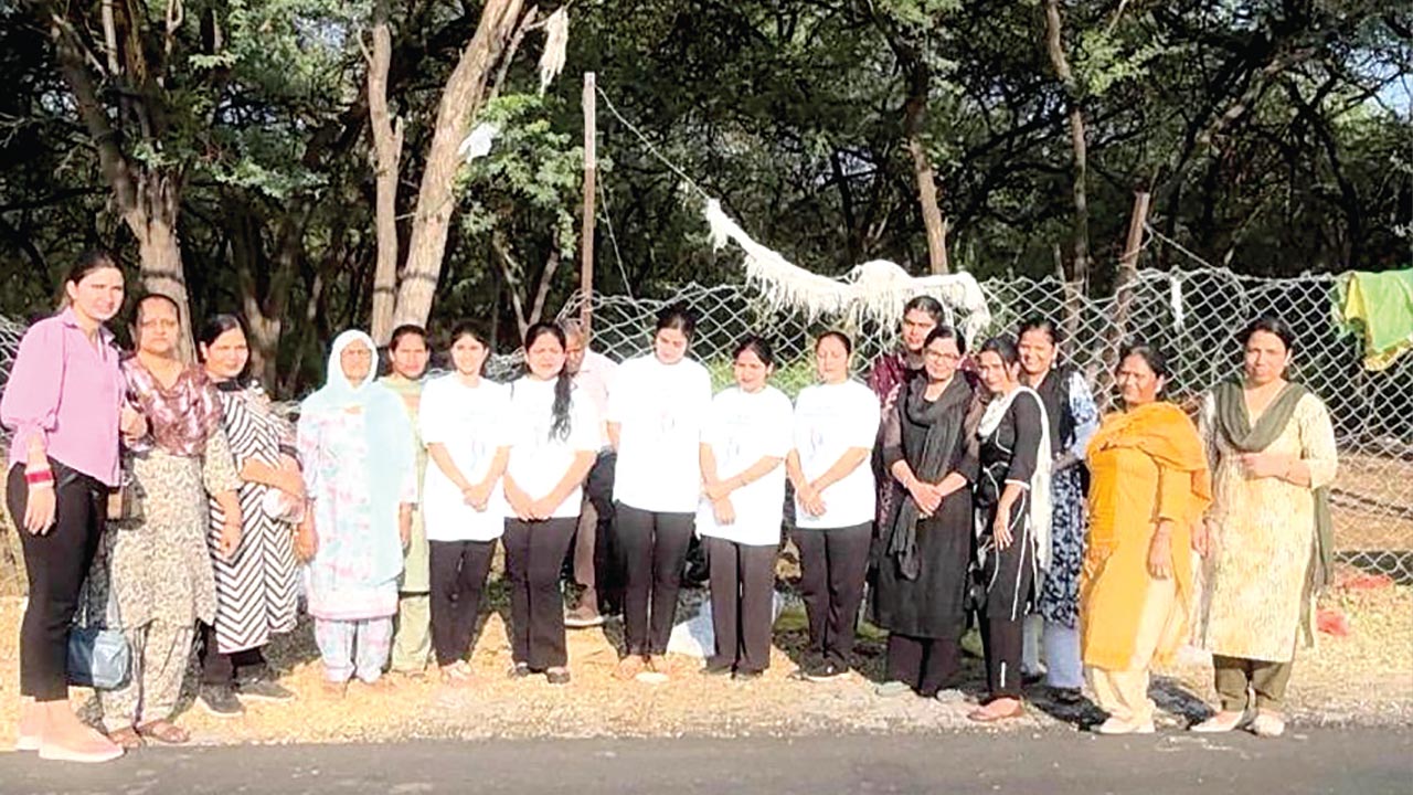 बेजुबान पशु-पक्षियों को उपलब्ध करवाया दाना-पानी व हरा चारा 