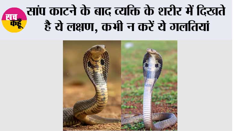 Snake News: सांप काटने के बाद भूलकर भी न करें ये गलतियां, समय पर सही इलाज बचा सकता है जान