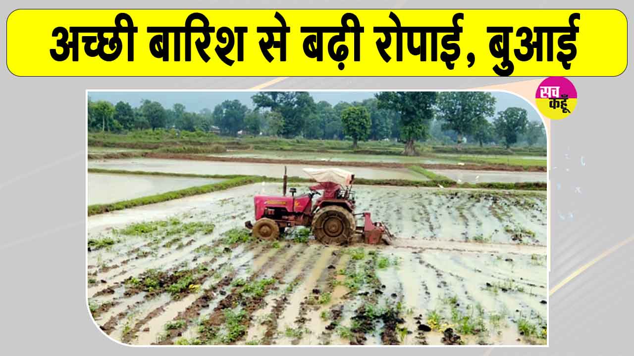 Agricultural News: मानसून की बढ़ती रफ्तार से किसानों के चेहरे खिले, रोपाई-बुआई ने भी पकड़ी रफ्तार
