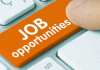 Assistant Librarian Recruitment: युवाओं के लिए खुशखबरी, सीजीपीएससी में लाइब्रेरियन पदों पर निकली वैकेंसी