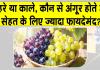 Grapes Benefits: जानिए हरे और काले अंगूर में से कौन से हैं ज्यादा पौष्टिक? क्या कहता है आयुर्वेद?
