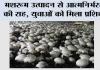 मशरूम उत्पादन से आत्मनिर्भरता की राह, युवाओं को मिला प्रशिक्षण