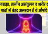 Kanchanar Guggulu Benefits: कंचनार गुग्गुलु! थायराइड, हार्मोन असंतुलन व शरीर की गांठों में है बेहद असरकारक