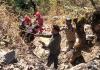 Chamoli Accident: 400 मीटर गहरी खाई में गिरी ईको वैन, एक ही परिवार के 3 लोगों की गई जान