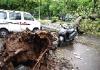 Heavy Rain: मोहाली, चंडीगढ़ सहित पंचकूला में तूफान व बारिश ने मचाई भारी तबाही