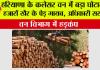 Haryana Environment News: हरियाणा के कलेसर वन में बड़ा घोटाला! हजारों खैर के पेड़ गायब, अधिकारी सस्पेंड