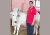 Gaushala News: गौ संवर्धन को बढ़ावा- पूर्व विधायक डॉ. पवन सैनी ने सरकार की ओर से श्री कृष्ण गौशाला समिति को सौंपी 20.92 लाख की सहायता राशि
