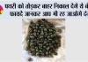 पथरी को तोड़कर बाहर निकाल देगे ये बीज, फायदे जानकर आप भी रह जाओगे दंग