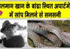 Snake News: सलमान खान के गैलेक्सी अपार्टमेंट में 'घोड़ा पछाड़' सांप मिलने से मचा हड़कंप