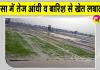 Sirsa Weather: सरसा में तेज आंधी-बारिश, तपते शहर को मिली ठंडक, पेड़ व बिजली के खंभे गिरे
