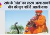 Snake Internal Ear: क्या सच में बीन की धुन पर नाचता है सांप? जानिए इसके पीछे का वैज्ञानिक सच