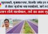 UP New expressway: खुशखबरी, मुजफ्फरनगर, बिजनौर समेत इन गांवों से होकर गुजरेगा नया एक्सप्रेसवे, जानें रूट