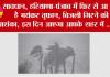 Haryana Punjab Weather Alert: सावधान, हरियाणा-पंजाब में फिर से आ रहा है भयंकर तूफान, बिजली गिरने की आशंका, इस दिन आएगा आपके शहर में ...!