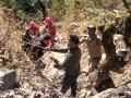 Chamoli Accident: 400 मीटर गहरी खाई में गिरी ईको वैन, एक ही परिवार के 3 लोगों की गई जान