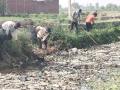 कण्डेला में तालाब में चलाया गया सफाई अभियान