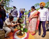 दिल्ली सरकार कर रही पर्यावरण को बेहतर बनाने के लिए काम: दिल्ली सीएम