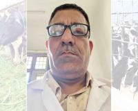 पशुपालन विभाग ने जारी की विशेष एडवाइजरी, गर्मी में पशुओं का रखें ख्याल