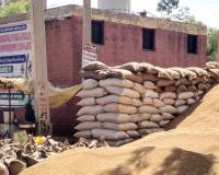 भूपेंद्र सिंह हुड्डा ने किया हांसी अनाज मंडी का दौरा, व्यवस्थाओं पर उठाए सवाल