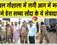Jakhal Gaushala Fire: जाखल में शाह सतनाम जी ग्रीन एस के सेवादार बने गोशाला में लगी आग में मसीहा