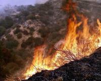 Northern Japan Wildfires: जापान के जंगलों में तेजी से फैल रही आग, काबू पाना हो रहा काफी मुश्किल