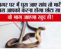 Snake News: अगर घर में घुस जाए सांप तो मारें नहीं, बस आपको करना होगा छोटा सा काम वो भाग जाएगा खुद ही!