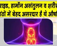 Kanchanar Guggulu Benefits: कंचनार गुग्गुलु! थायराइड, हार्मोन असंतुलन व शरीर की गांठों में है बेहद असरकारक