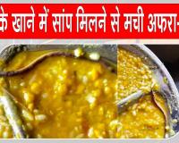 Snake News: बच्चों के भोजन में सांप मिलने से मचा हड़कंप, सैकड़ों छात्र अस्पताल में भर्ती