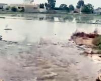 गोरखपुर माइनर में लीकेज से खेत बने तालाब