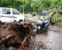Heavy Rain: मोहाली, चंडीगढ़ सहित पंचकूला में तूफान व बारिश ने मचाई भारी तबाही