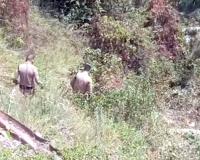 शादी से लौट रही इको कार खाई में गिरी, महिला की मौत
