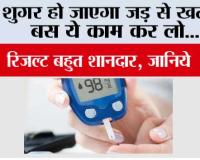 Diabetes: शुगर हो जाएगा जड़ से खत्म! बस ये काम कर लो...