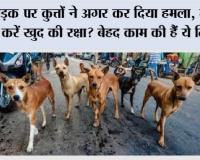 Dog Attack Safety Tips: सड़क पर कुत्तों ने अगर कर दिया हमला, तो कैसे करें खुद की रक्षा? बेहद काम की हैं ये ट्रिक्स!