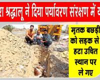 डबवाली के एमएसजी आईटी विंग सेवादार ने दिखाया...एक सेवा ऐसी भी !