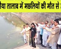  महाग्राम गंगा के ऐतिहासिक गंगा मैया तालाब में हजारों मछलियों की मौत भड़के ग्रामीण