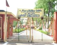 सोलर ऊर्जा उत्पादन को बड़ी रफ्तार, सीईएल में 200 मेगावाट क्षमता वाले प्लांट का उद्घाटन आज