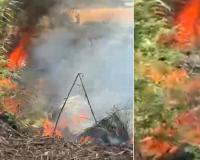 नहरी विभाग की जमीन पर लगे वर्षों पुराने पेड़ों में लगी आग