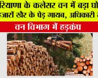 Haryana Environment News: हरियाणा के कलेसर वन में बड़ा घोटाला! हजारों खैर के पेड़ गायब, अधिकारी सस्पेंड